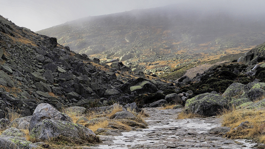 Taller de Fotografía de Otoño,  Naturaleza y paisajes en la Sierra de Gredos